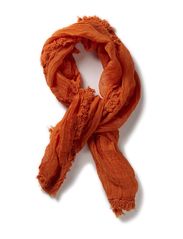 Bud to rose Plain Orange