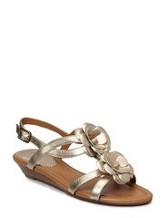 Clarks Santa Gift
