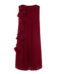 Coast Coast Rosanna Dress