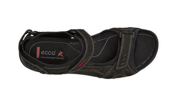 WOMEN'S ALL TERRAIN LITE