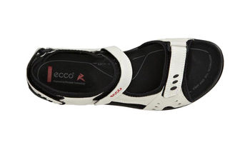 WOMEN'S ALL TERRAIN LITE