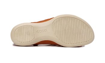 ECCO FLASH