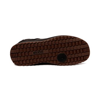 ECCO TRACE