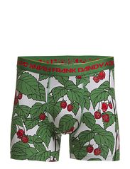 Frank Dandy Skullberry Boxer