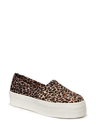 Friis2 Kamaleo - Leopard