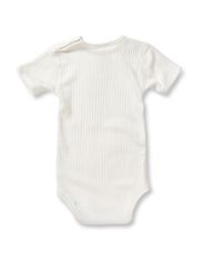 Body s.s. Basic 