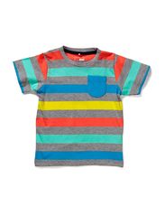 name it HADI MINI SS TOP 213