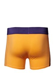 Resteröds boxer 