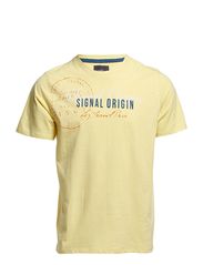 Signal David