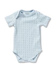Wheat Body SS